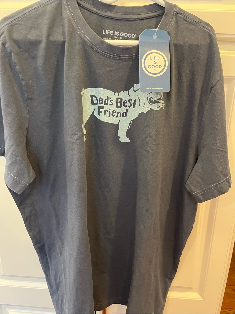 Life Is Good Men's Short Sleeve T‑Shirt Navy with Light Blue Graphic
